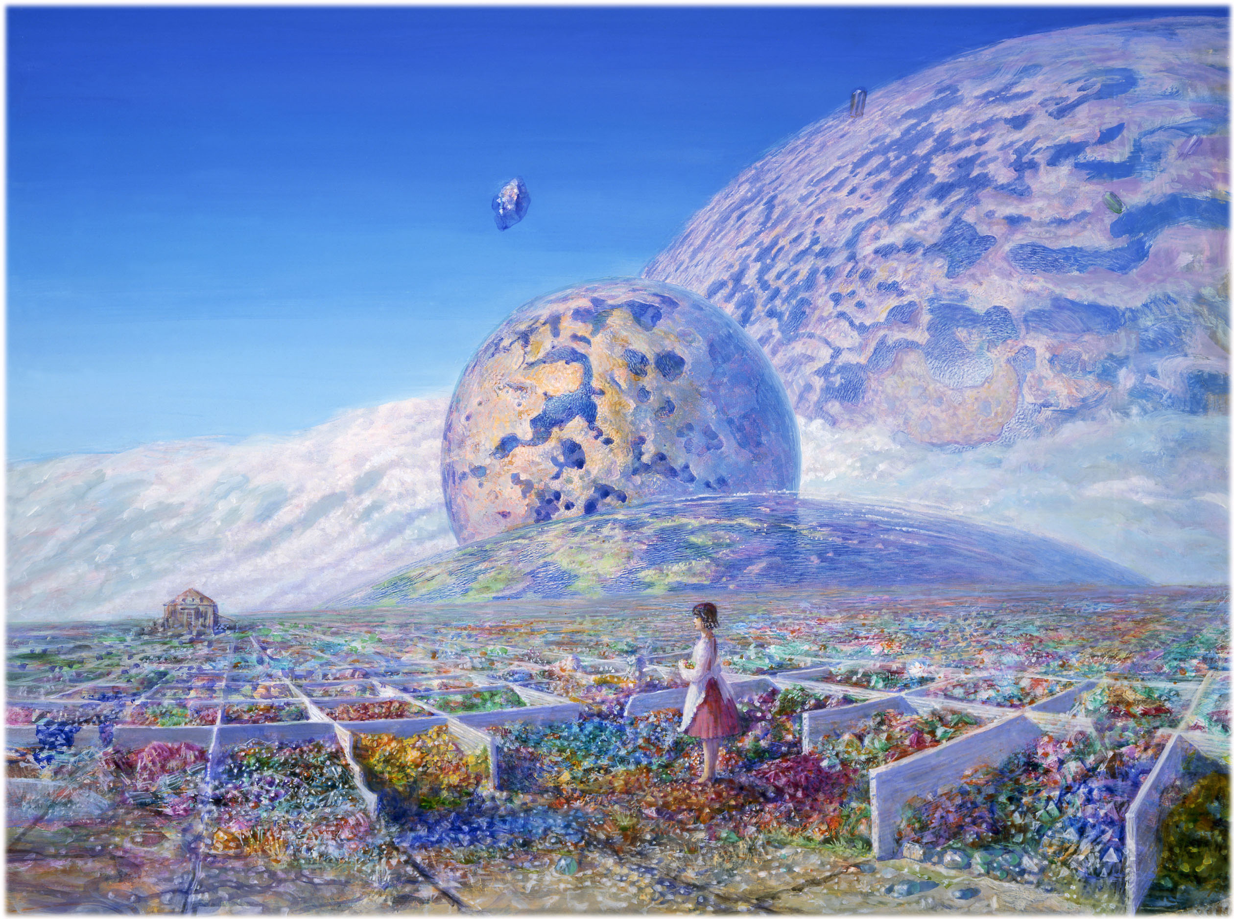 No.17 The World is My Specimen Box