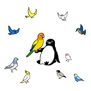 坂崎千春　ペンギンと鳥達の輪